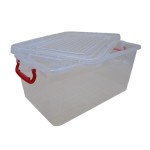 Rectangular food box, capacity 16 l, transparent